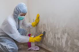 Biohazard Mold Removal in Esparto, CA